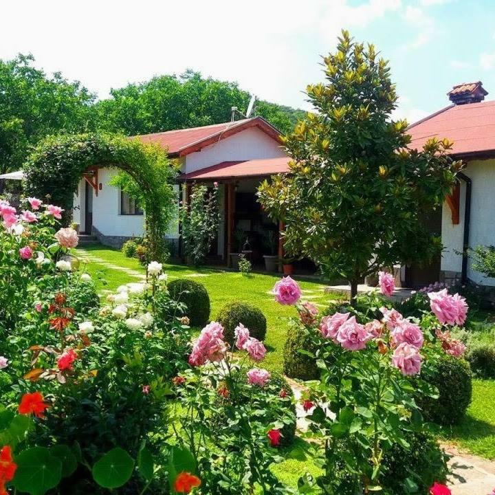 Guest House Raiski Kаt Mezek Exterior photo